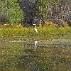 48Inf2011-10-29 14.41.01 : Lake Bastrop South Shore